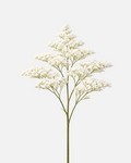 Caspia White