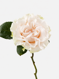 Cotton X-pression Roses Long