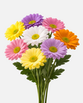 Daisy Poms Assorted Box
