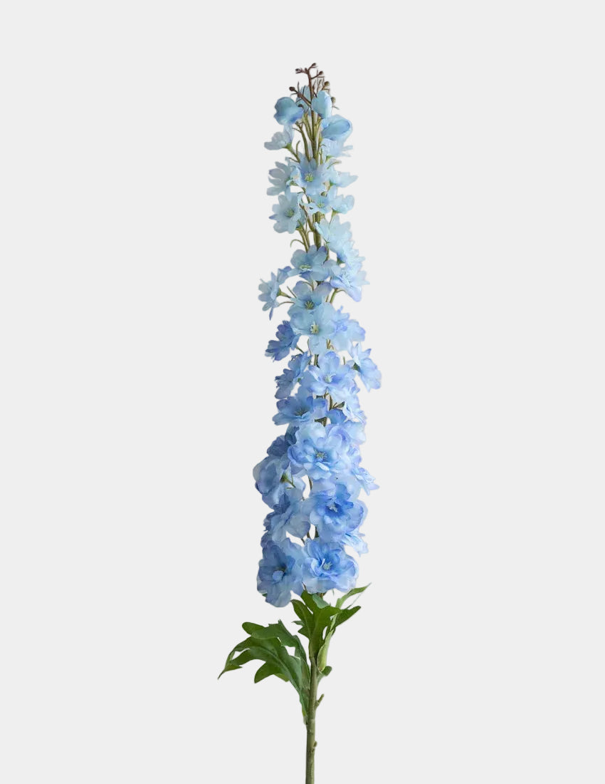 Delfinio Azul Claro