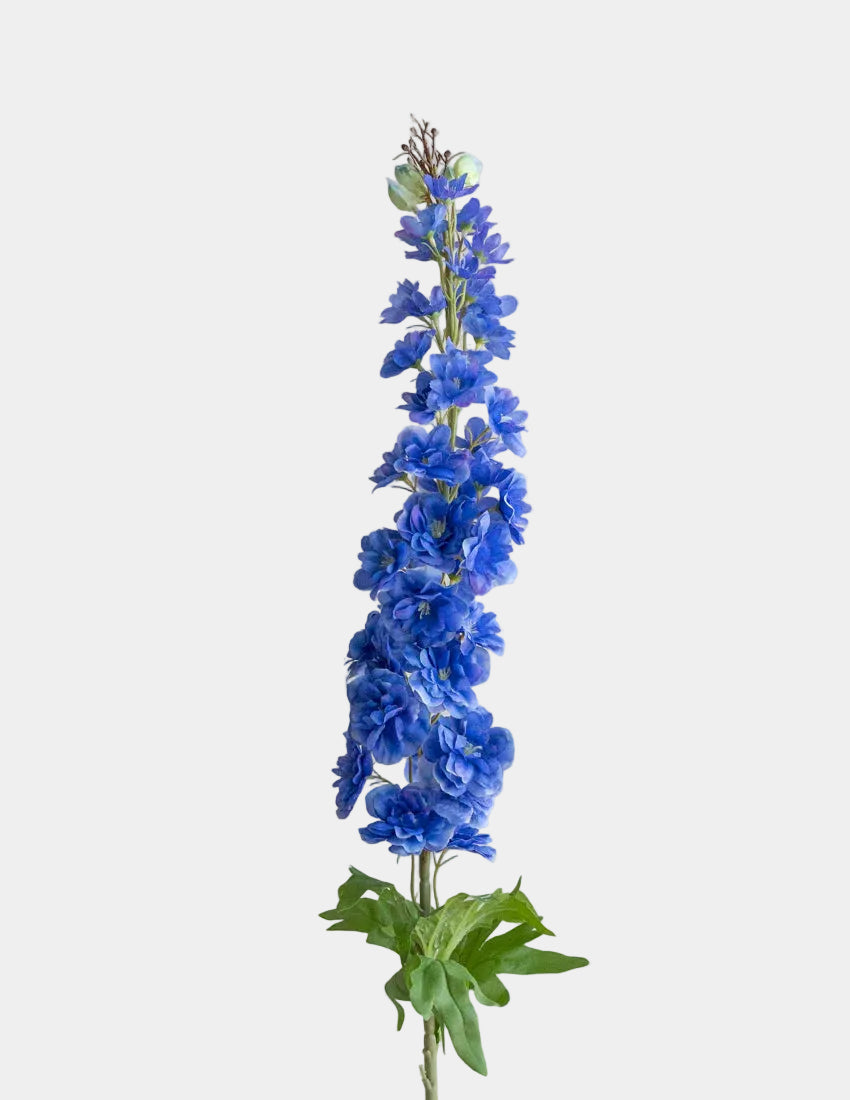 Azul Delphinium