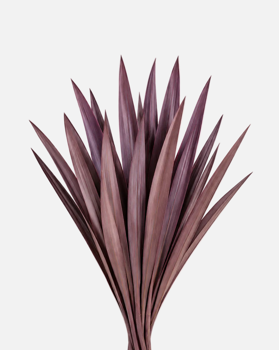Flax Leaves
