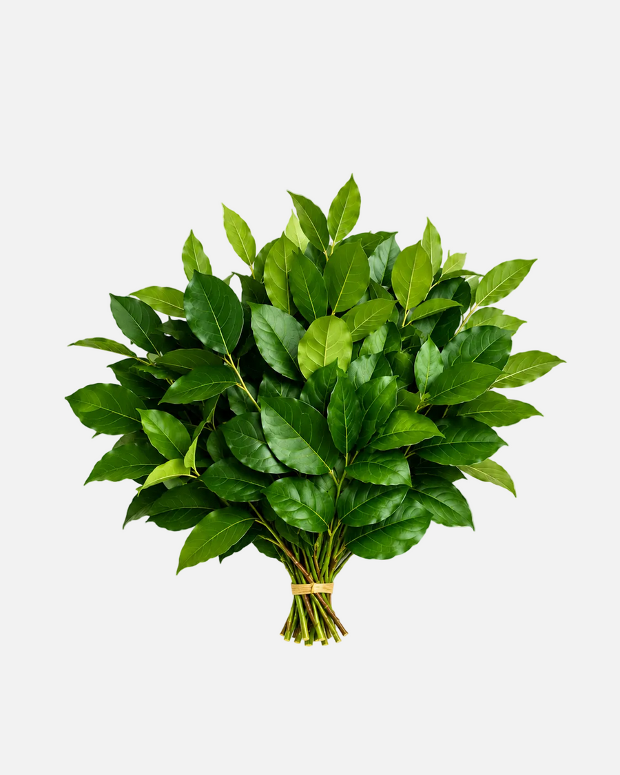 Consejos para las hojas de limón