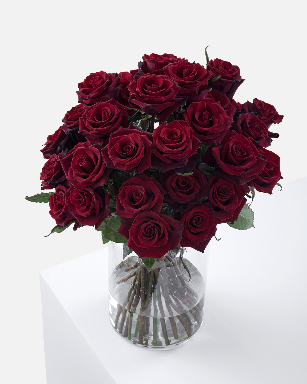 Intensity Roses Burgundy Short