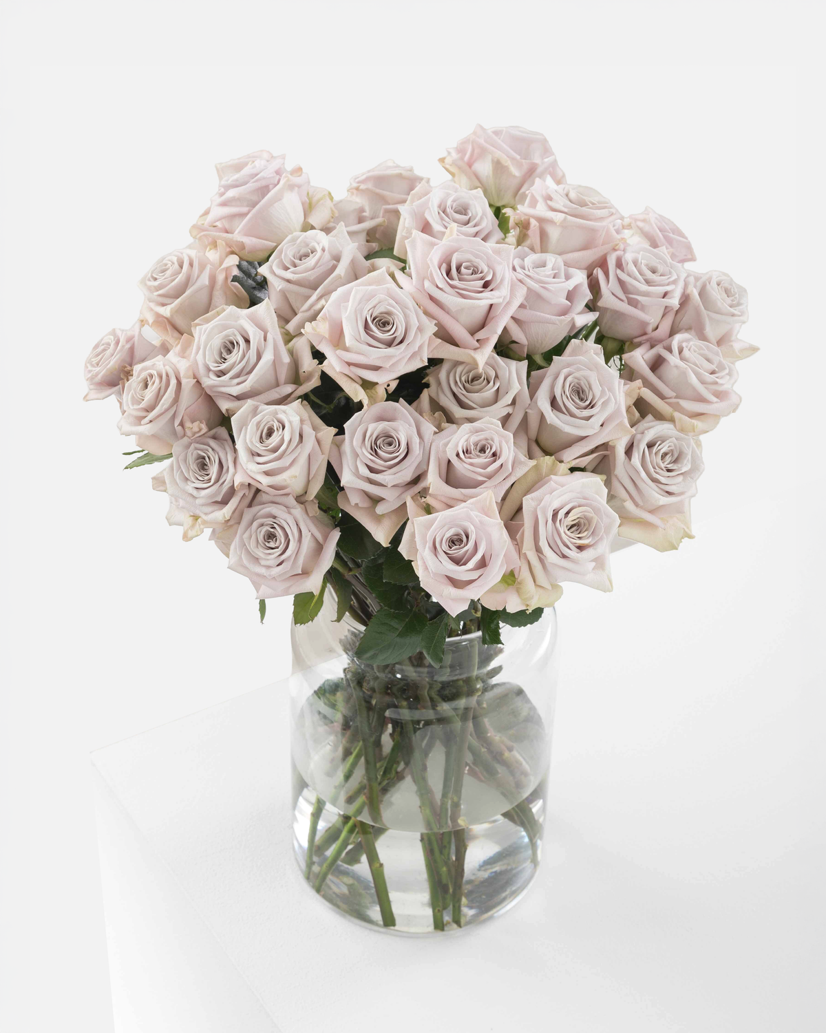 Roses Menta Long
