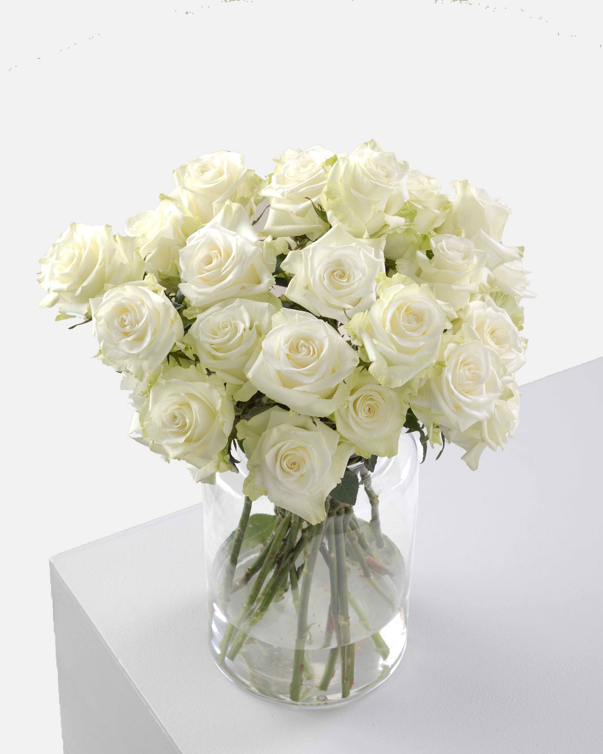 Mia Roses White Short