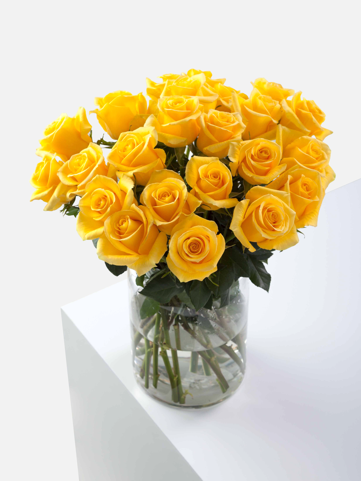 Momentum Roses Short