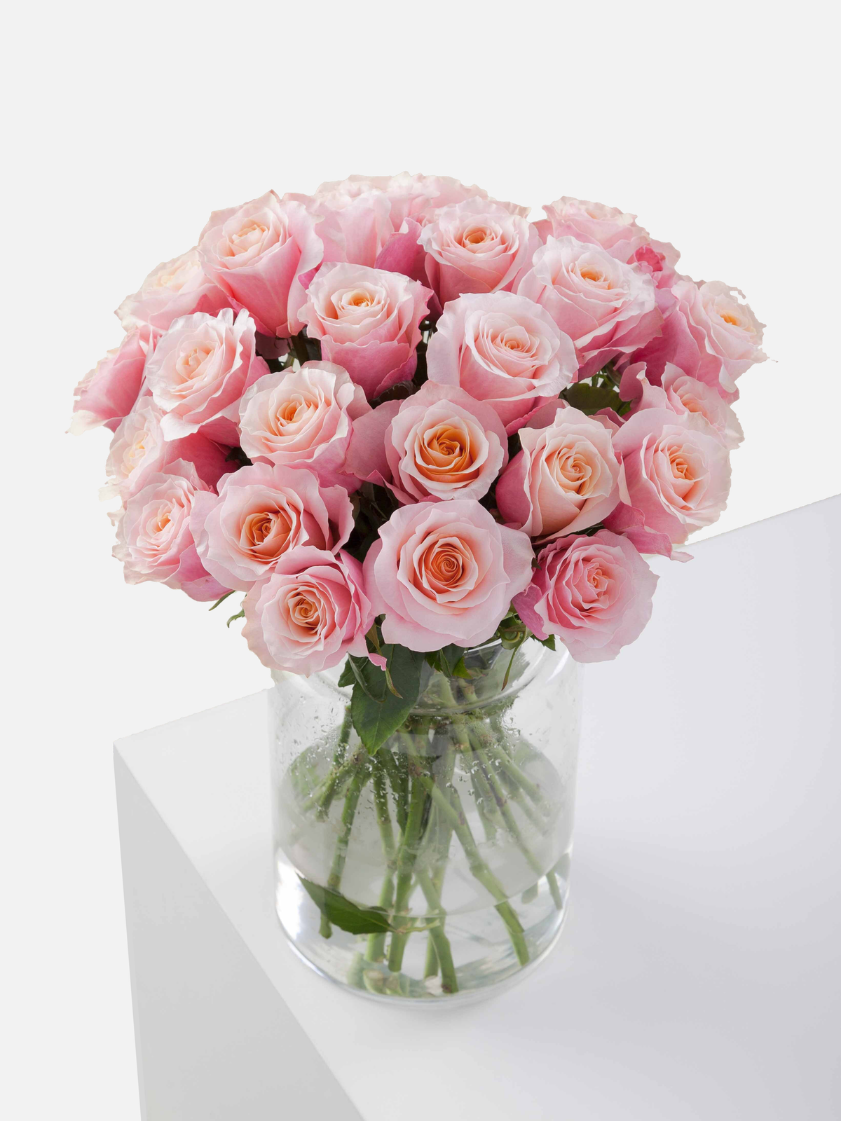 Flamingo Roses Pink Long