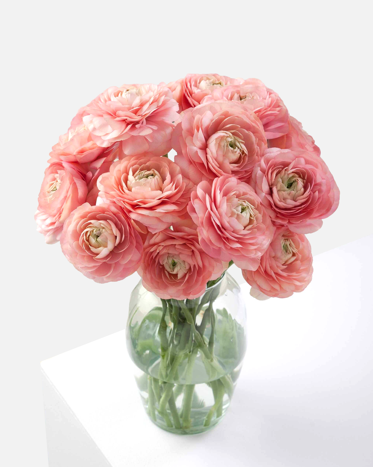 Ranunculus Peach