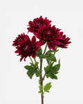 Cushion Poms Burgundy