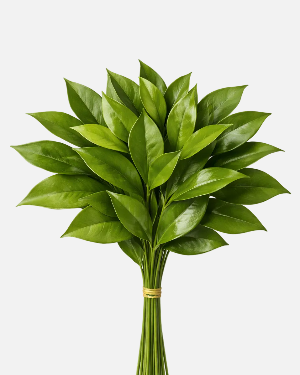 Lemon Leaf