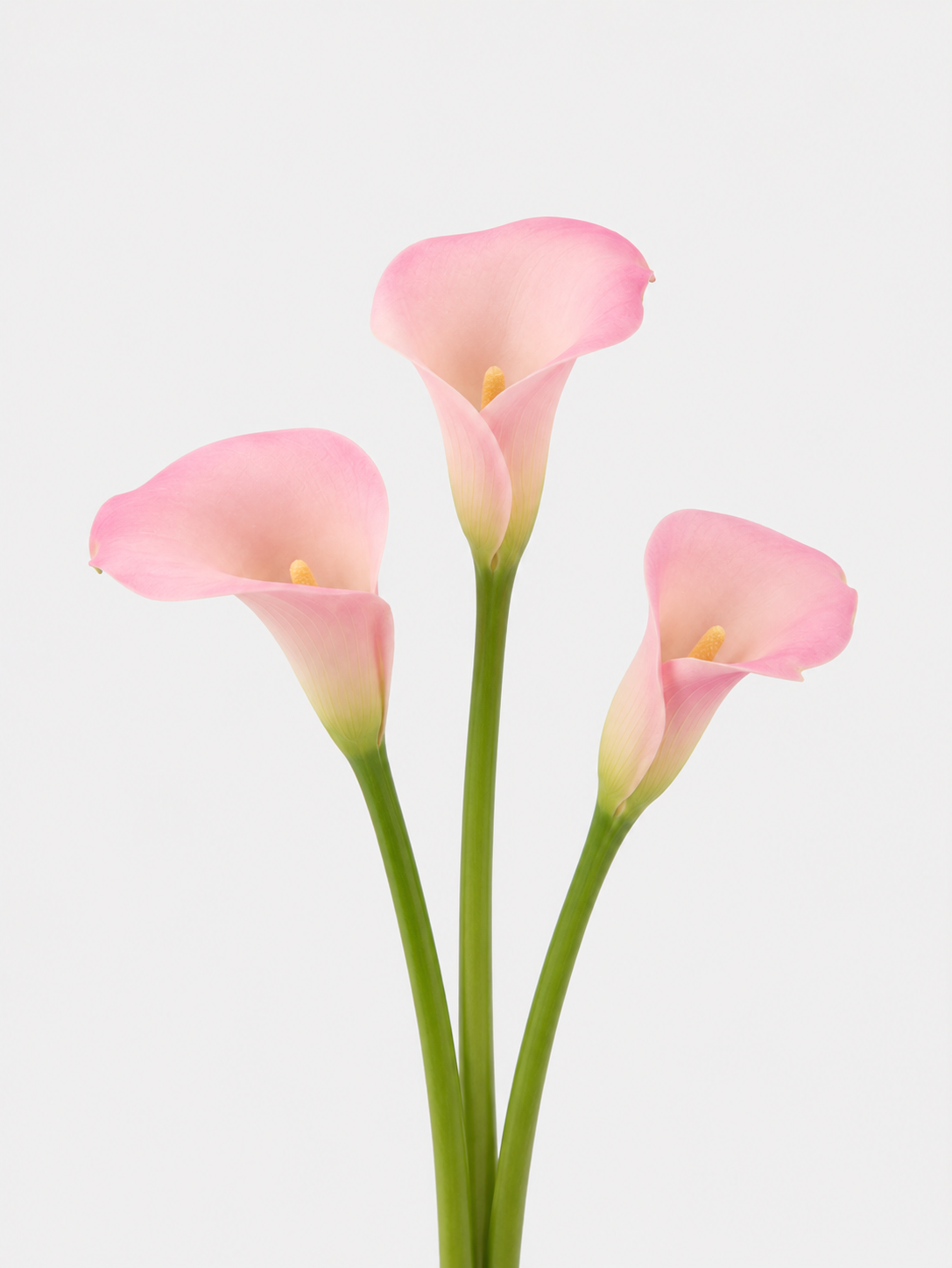 Mini Calla Light Pink