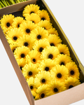 Mini Gerbera Yellow