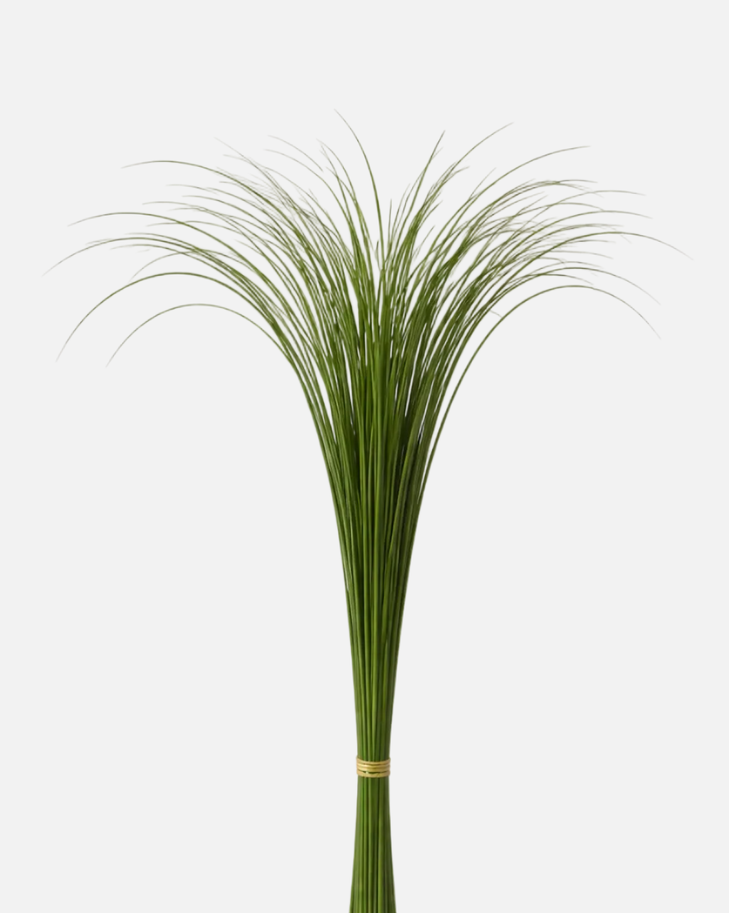 Steel Grass